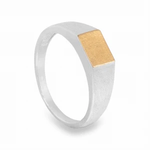 Srebrno Złoty Sygnet N°5